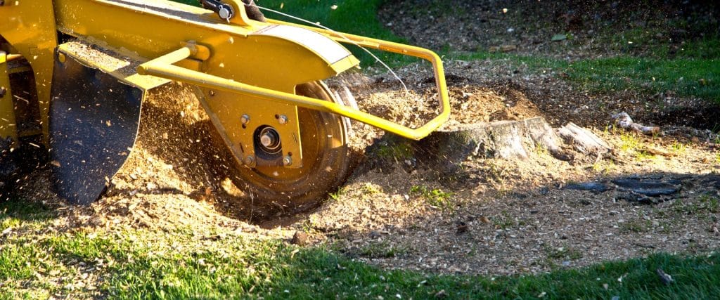 image presents stump grinding services in melbourne