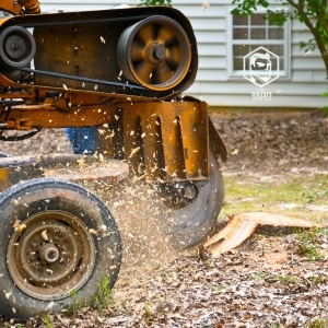 image presents stump grinding services inmelbourne