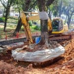 Bulldozer removing a tree stump and roots, preparing the ground to level after the tree removal.