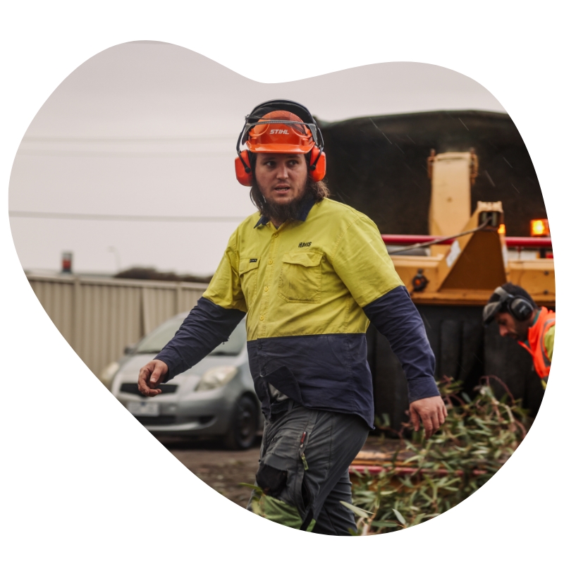 Arborist in Melbourne, Victoria, wearing an orange helmet. There's a man behind him doing tree services.
