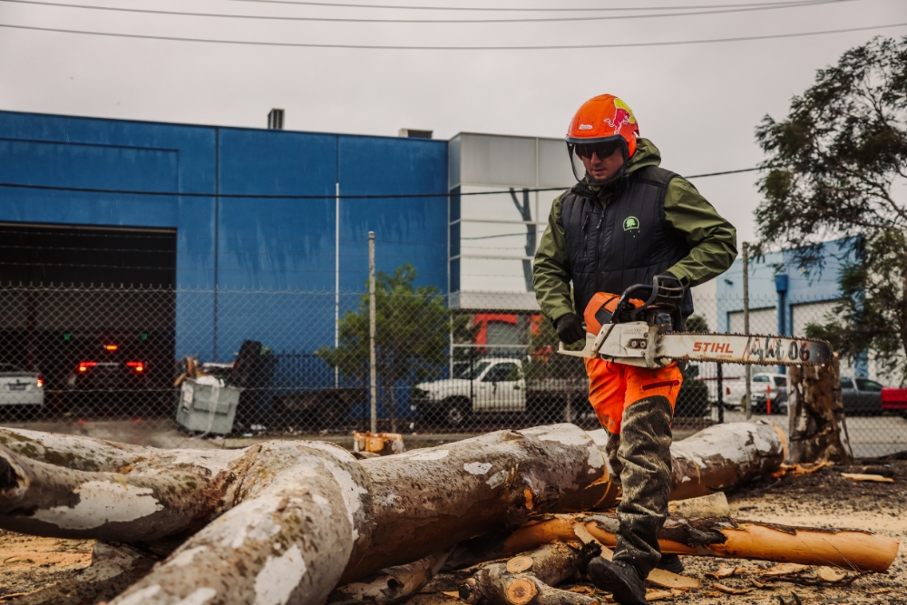 A worker in safety gear, including an orange helmet and high-visibility clothing, uses a STIHL chainsaw to cut large tree logs for tree debris disposal at an industrial site. The background shows a blue warehouse building and a fenced area.