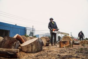 A worker wearing protective gear, including a helmet and ear protection, holds a STIHL chainsaw while standing among large cut tree logs, part of the tree debris disposal process at an industrial site. The background features a blue warehouse building and a fenced area, with another worker visible in the distance.