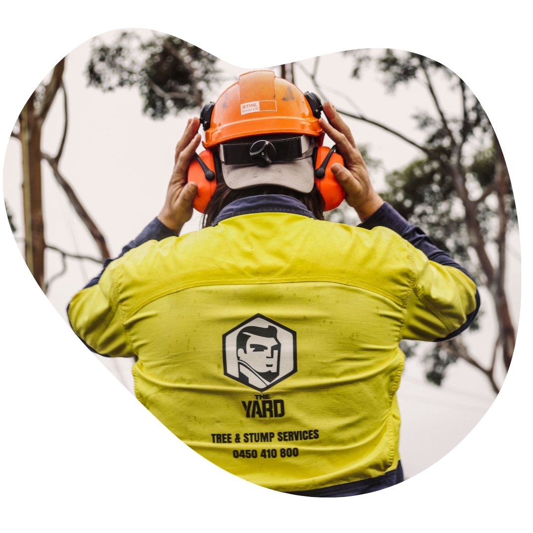 Arborist from The Yard performing Tree Crown Lifting in Melbourne, wearing safety gear and a high-visibility jacket.