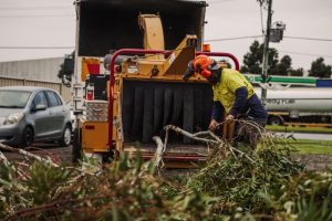 An arborist wearing protective gear, using a wood chipper for winter tree removal, feeding tree branches into the machine.