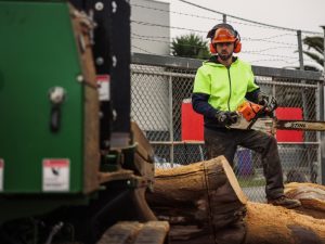 A worker using a chainsaw to cut a large log, equipped with essential tools for tree removal and safety gear.