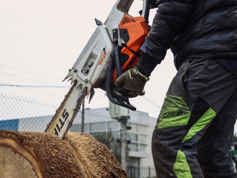 A worker using a chainsaw to cut a tree trunk, showcasing essential tools for tree removal in winter conditions.