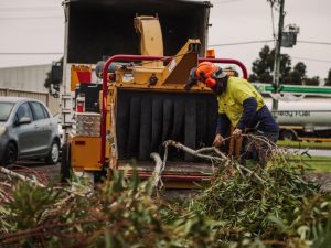 A worker feeding branches into a wood chipper, demonstrating essential tools for tree removal, wearing safety gear.