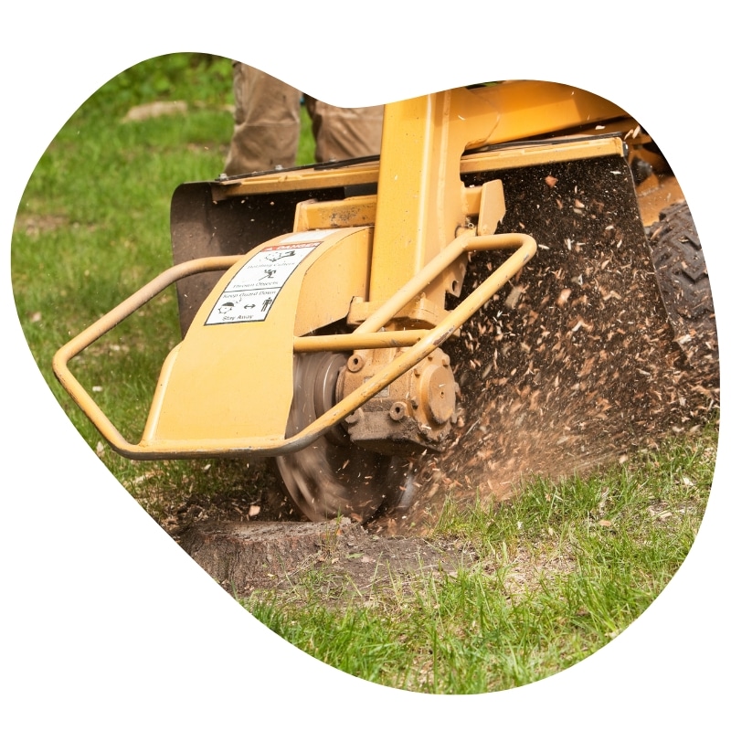 Stump grinding in Melbourne with a yellow grinder machine, removing a tree stump in a grassy area.