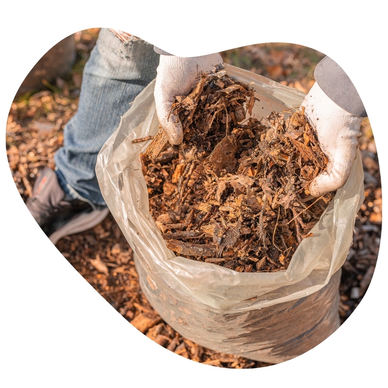 A tree mulching service provider in Melbourne filling a bag with wood mulch for soil care and landscaping