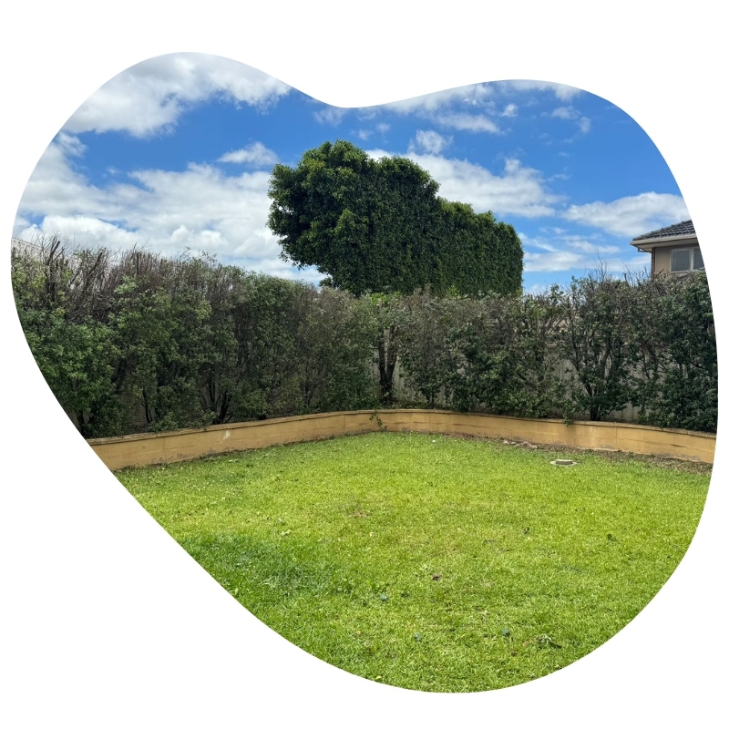 A beautifully landscaped backyard showcases a lush green lawn and meticulously trimmed bushes, highlighting the importance of tree trimming in Braeside for a neat and tidy appearance.