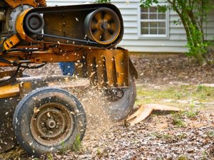 A large machine used to remove tree stump efficiently in a residential yard.