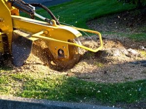 A tree stump being ground down demonstrates the best way to remove a tree stump efficiently and effectively.