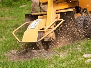 Close-up of a stump grinder removing a tree stump, a clean and efficient method for stump removal.