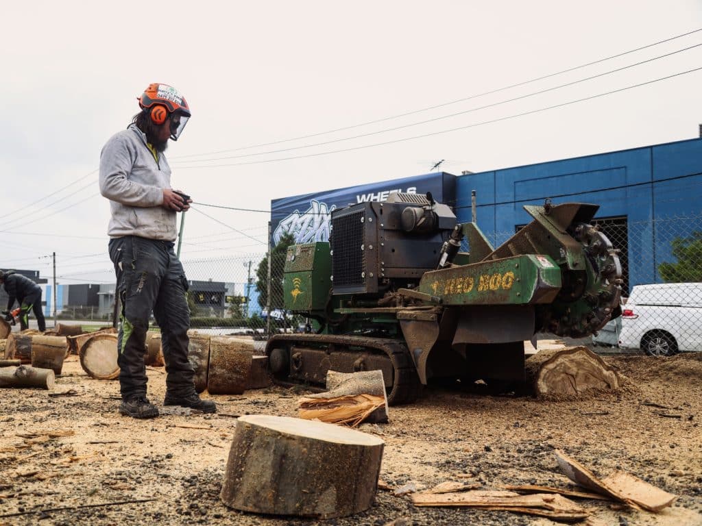 A stump grinder in action demonstrates the best way to remove a tree stump.