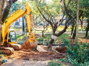 A yellow excavator digging around a large dead tree, illustrating the cost of removing dead trees.