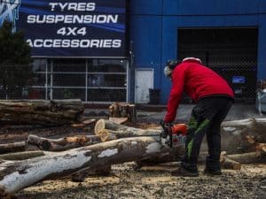 Worker cutting fallen tree with chainsaw, highlighting standing dead tree risks like property damage and safety hazards.