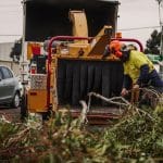 A man is removing trees from backyard, feeding branches into a woodchipper.