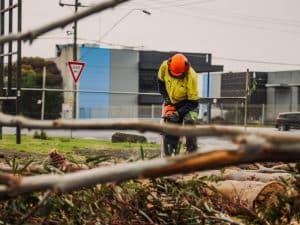 Worker in safety gear performing tree removal after storm near fallen branches and street debris.