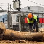 Worker with chainsaw cutting large logs to safely remove a fallen tree after storm damage near an industrial area.