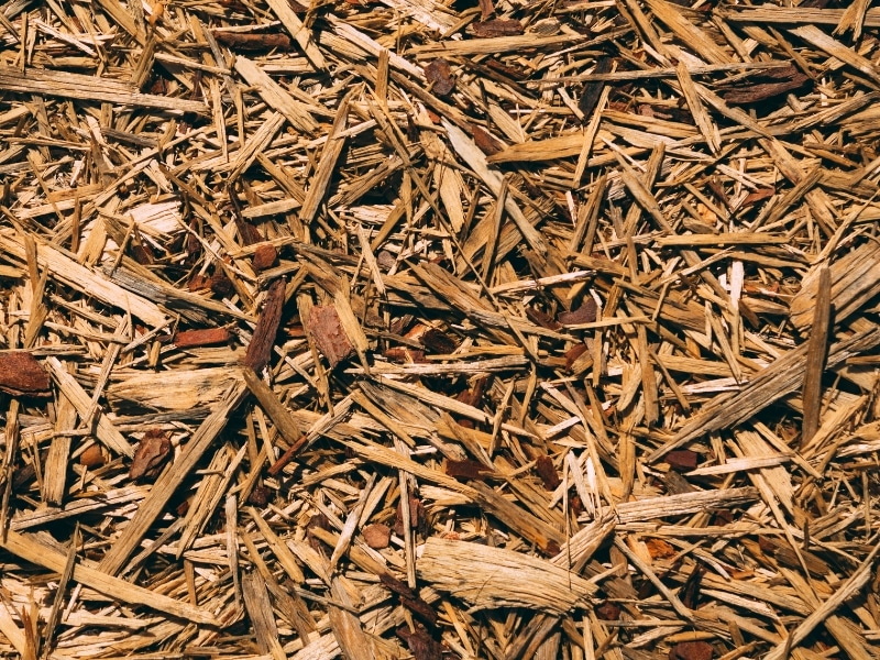 Shredded mulch from a wood chipping service scattered over garden soil