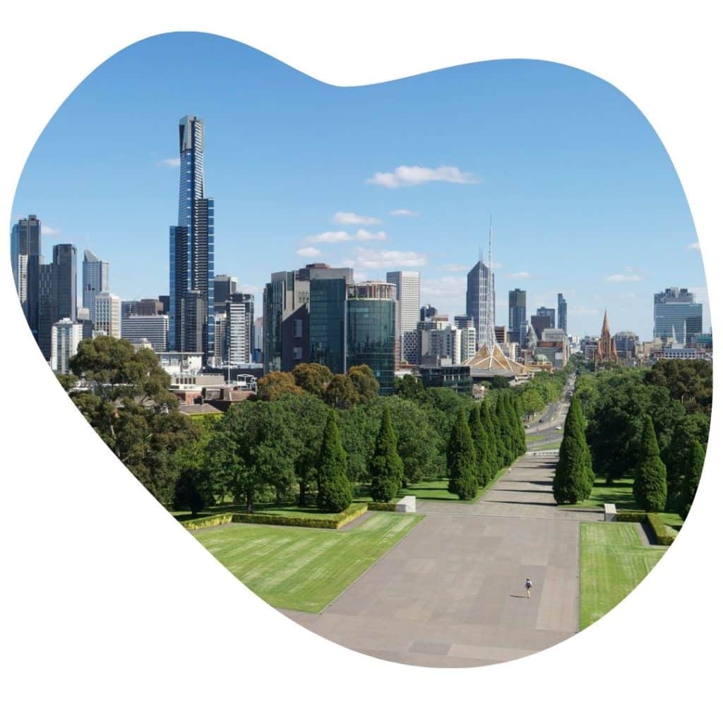 Image presents Melbourne Tree Specialists at work