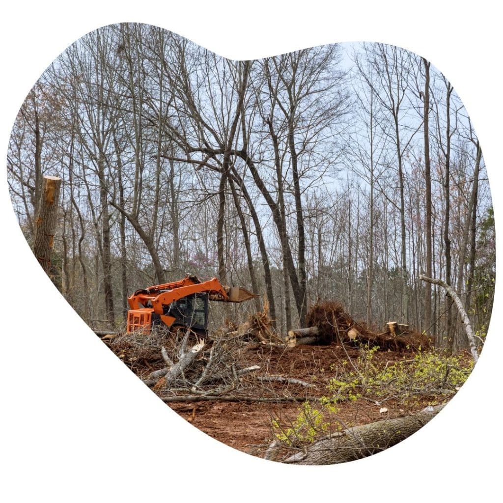 Image presents land clearing services