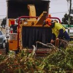 Worker feeding tree branches into industrial machine as part of a professional wood chipping service in an outdoor setting.