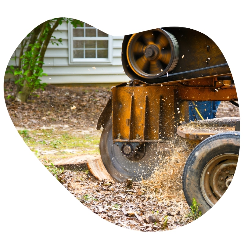 Completed stump removal Australia with smooth clean finish.