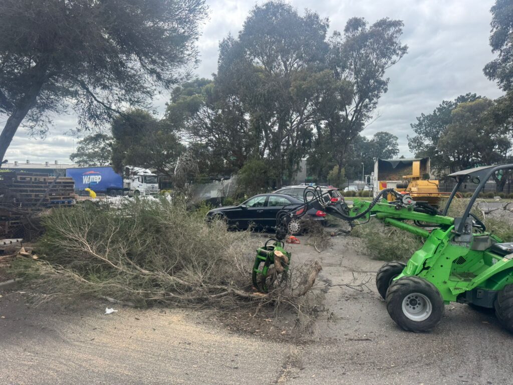 Storm cleanup using heavy machinery to clear fallen branches and debris.
