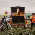 Crew clearing fallen tree branch with wood chipper at worksite, wearing safety gear.