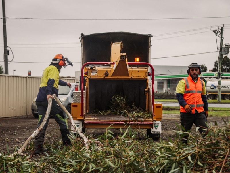 Crew clearing fallen tree branch with wood chipper at worksite, wearing safety gear.