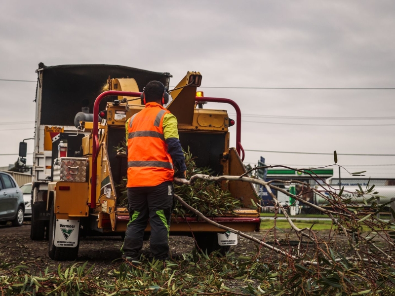 Arborist in high-visibility clothing feeding branches into a wood chipper, showing recycling as part of the cost for small tree removal.