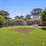 Stump-free Melbourne backyard after tree stump removal, preventing pest activity.