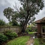 Warning signs of a dangerous backyard tree in Melbourne, including soil heave near the trunk and dead branches overhead.