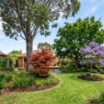 Healthy native and exotic trees growing side by side in a well-maintained Melbourne suburban garden, showing diverse canopy shapes, mulched root zones, and balanced landscaping under clear daylight conditions.