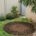 Freshly ground tree stump area with wood chips mixed into healthy garden soil