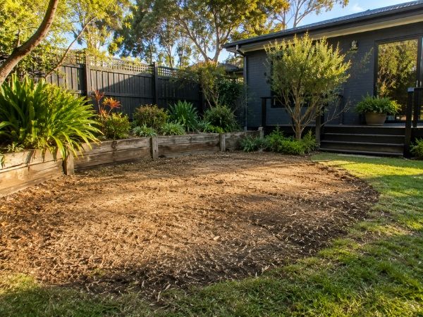 Stump grinding result, cleared ground