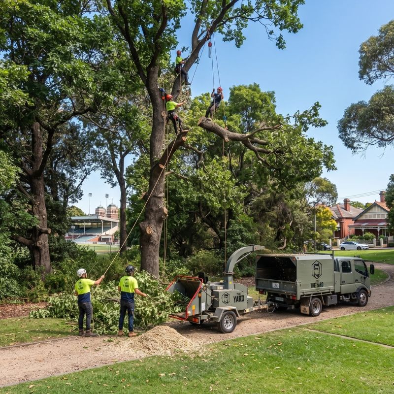The Yard arborist at work in Carlton