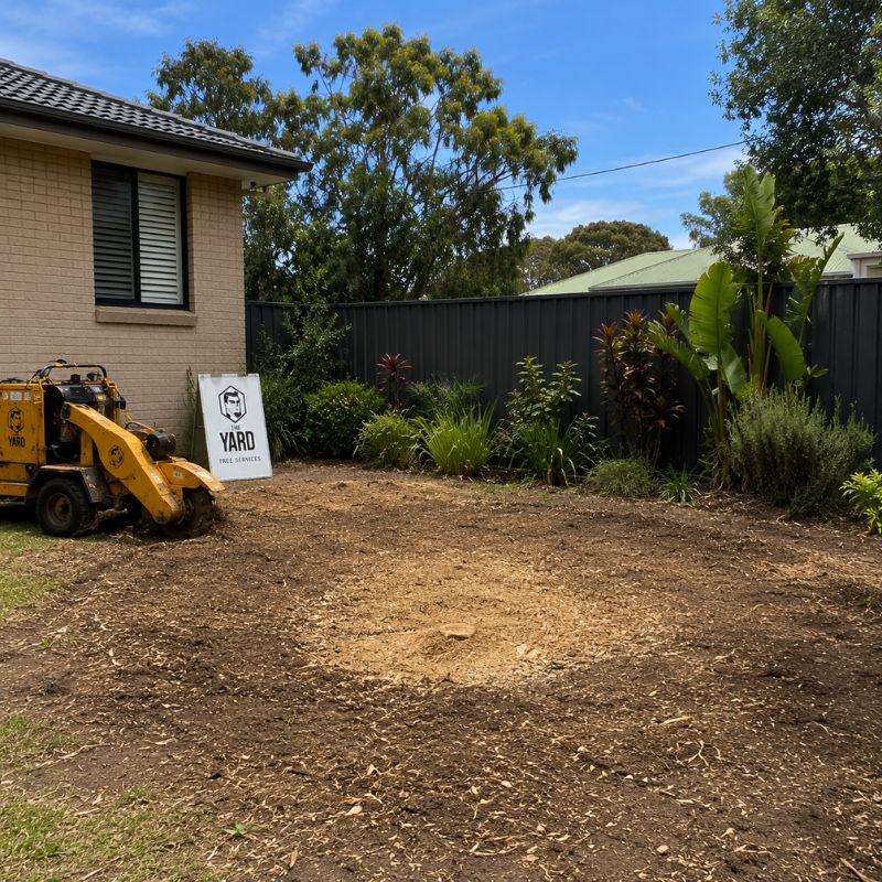 Stump grinding result with cleared ground