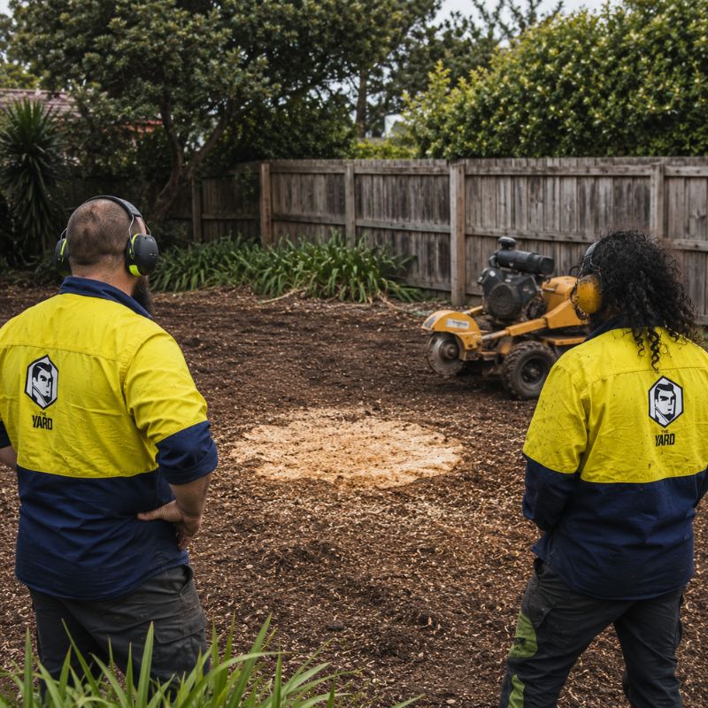 Stump grinding result, cleared ground
