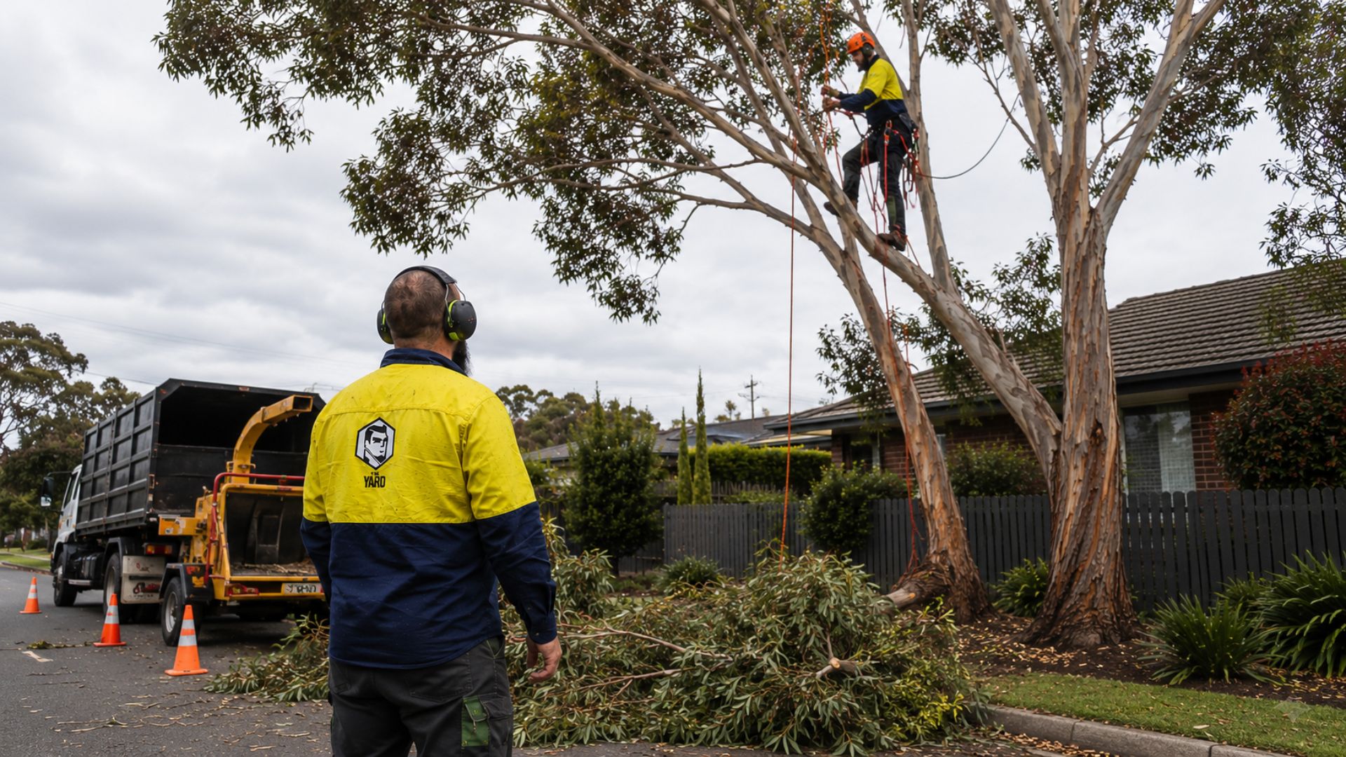 The Yard team on a tree job in Darebin