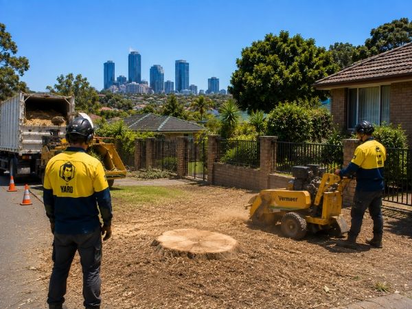 Stump grinding result, cleared ground