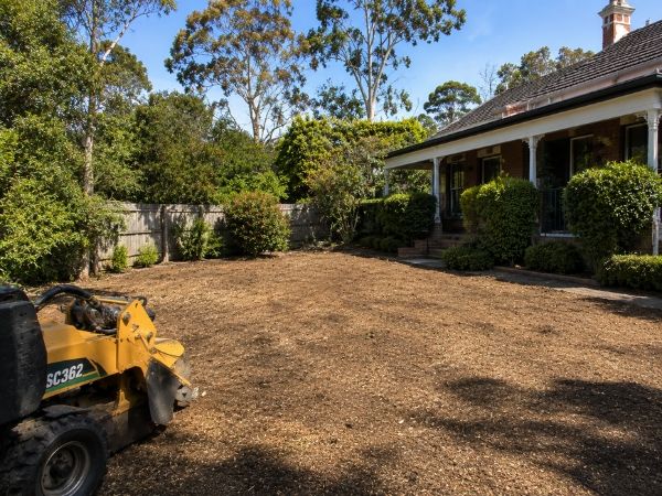 Stump grinding result, cleared ground