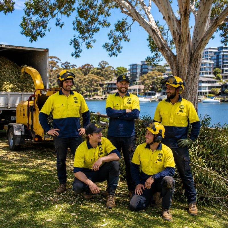 The Yard team on a tree job in Canada Bay