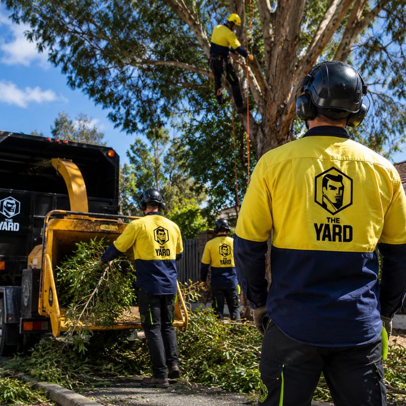 The Yard team on a tree job in Darebin