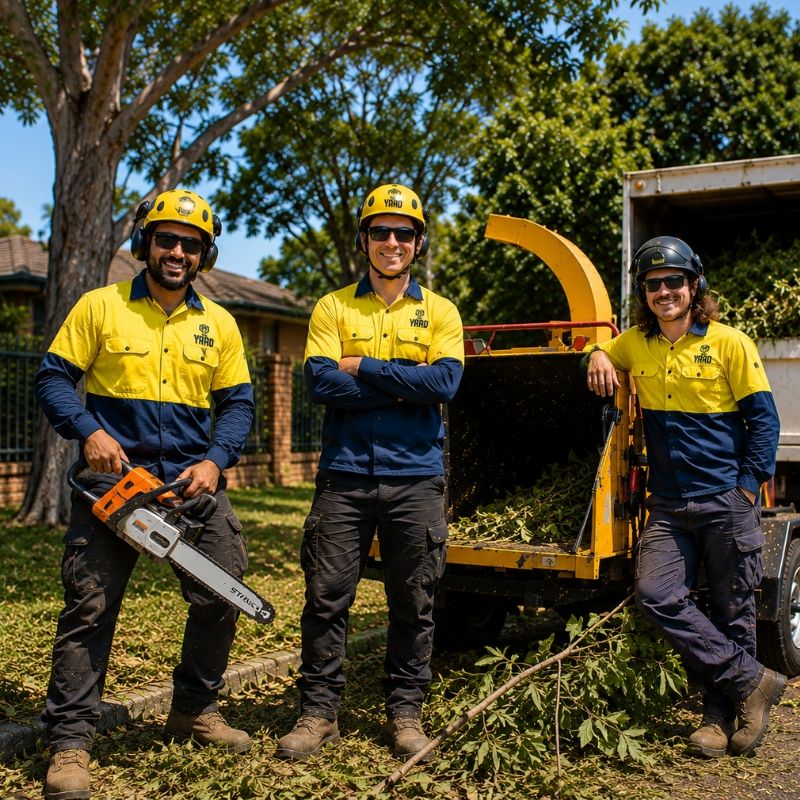 The Yard team on a tree job in Fairfield