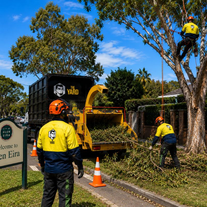 The Yard team on a tree job in Glen Eira
