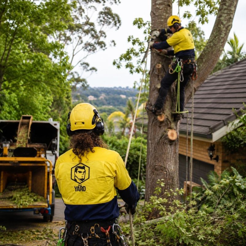 The Yard team completing tree work in Hornsby