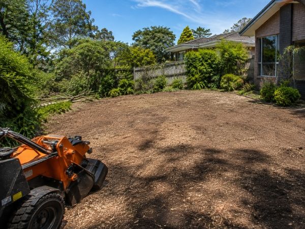 Stump grinding result with cleared ground