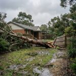 Storm-damaged fallen tree on a Melbourne residential property